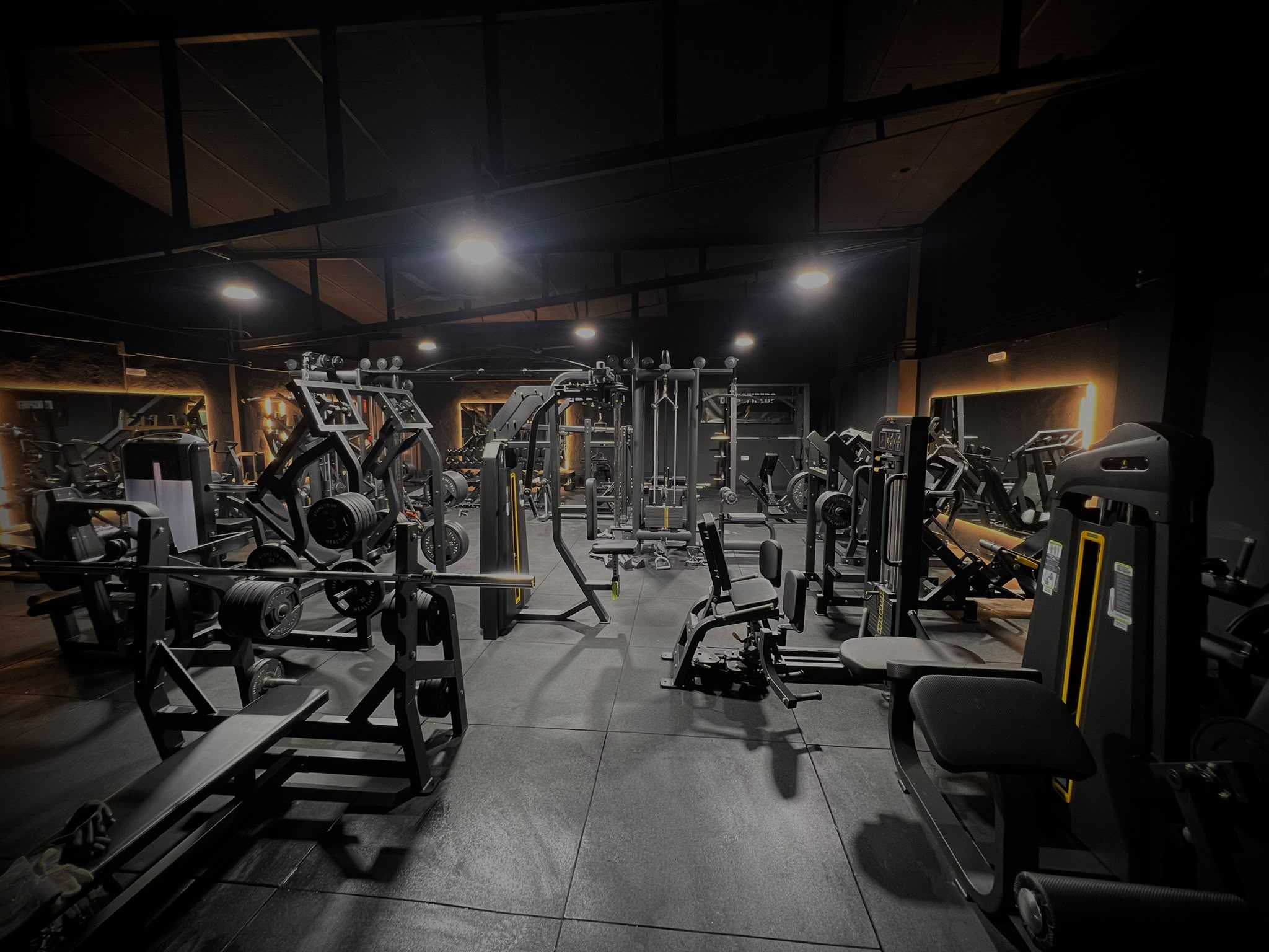 Zona de máquinas y poleas de InspoFit